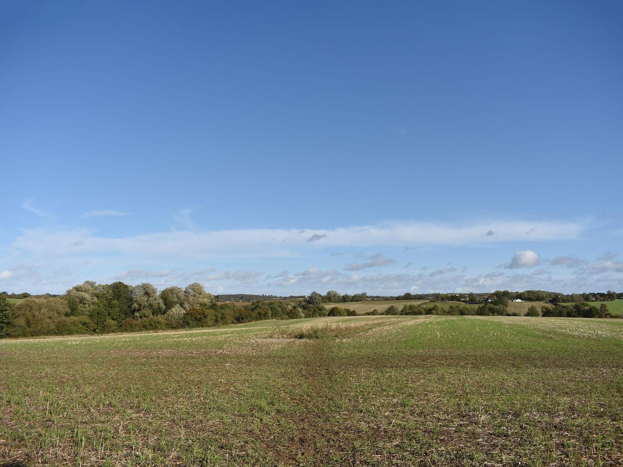 Ivy Todd Barn Villa Ashdon Bagian luar foto